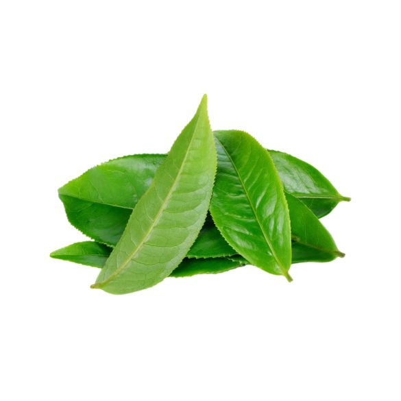 Herbavirág Zöld Tea szálas 100 g
