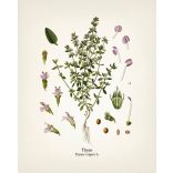 Herbavirág "Teázz, ne fázz!" meghűlés elleni tea 80g