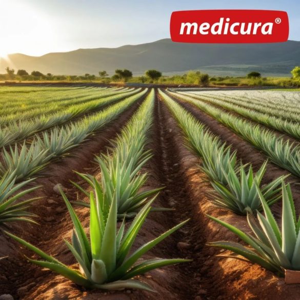 Medicura "Aloe Vera 100 % koncentrátum" 330 ml