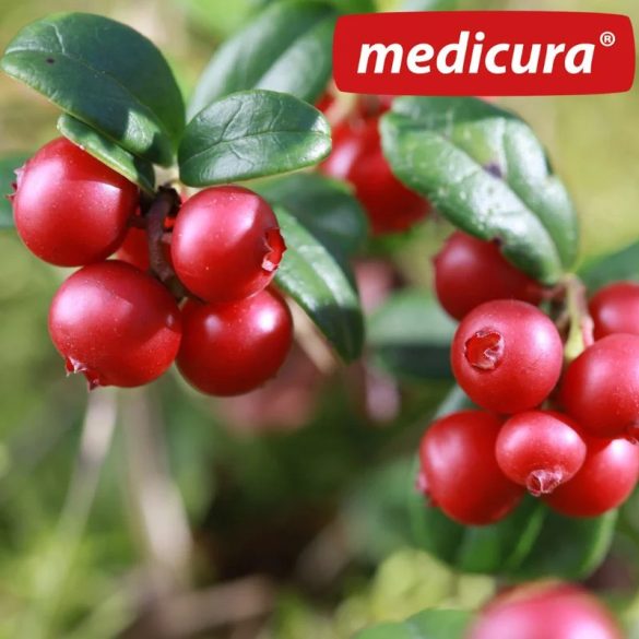 Medicura "Tőzegáfonya" 100 % BIO gyümölcslé 330 ml